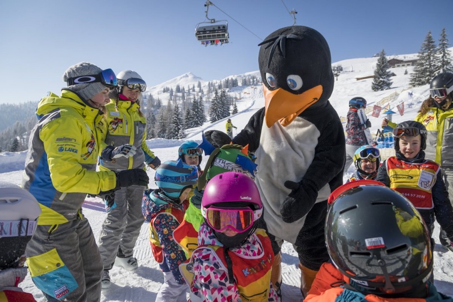 Meet BOBO the penguin