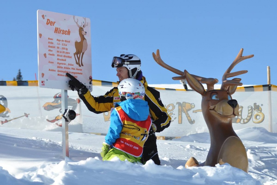 Visit the animals of the winter forest