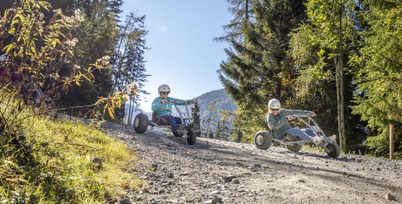 Mountaincart